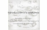 Introducción a la anatomía   zootecnia