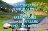 RECURSOS NATURALES Y LOS MERCADOS AMBIENTALES EN COLOMBIA