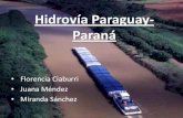 Geografía Hidrovia Paraná-Paraguay