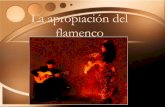 Comercializacion Del Flamenco