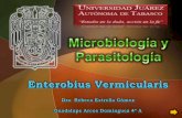 Enterobius vermicularis - Gpe. Arcos