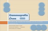 Gammagrafia Ósea