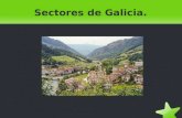 Sectores de galicia.
