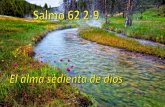 Salmo 62,Liturgia de las Horas para laicos