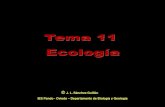 11 ecologia