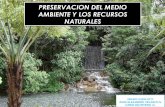Preservación de los recursos naturales y el Medio Ambiente
