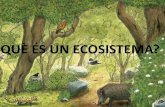 Què és un ecosistema?
