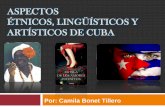 Presentacion 5  aspectos étnicos, lingüísticos y artísticos de cuba