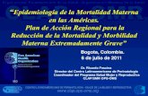 Epidemiología de la Mortalidad Materna en las Américas