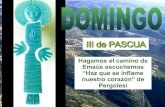 Iii Domingo Pascua (Ciclo A)