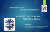 Ingeniería en Economía Agrícola (INGEA)