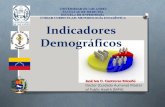 Indicadores demográficos Venezuela