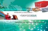 Soluciones integrales para el acceso al mercado mexicano y extranjero… NYCE ASIA