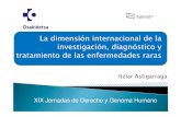 La dimensión internacional de la investigación, diagnóstico y tratamiento de las enfermedades raras. Itziar Astigarraga Aguirre