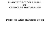 Planificacion anual ciencias naturales primer año 2013