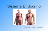 Sistema endocrino (resumen)
