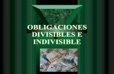 Diapositivas divisibles e indivisibles