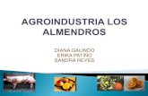 Agroindustria Los Almendros