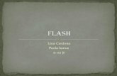 Presentación De Flash