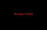 Estructuras celulares biologia celular