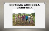 Presentación de Juliana Figueroa (Honduras) - Seminario Internacional Pueblos Indígenas