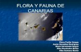 Flora y fauna de Canarias