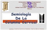 Semiologia de la columna cervical