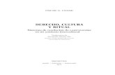 Derecho, cultura y ritual sistemas de resolución de controversias en un contexto intercultural - Oscar G. Chase - Marcial Pons Argentina