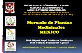 Mercado plantas medicinales mexico ipn mayo 2012