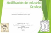 Modificación industrial de celulosa
