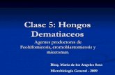 Clase 5 Dematiaceos