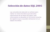 Seleccion de datos_sql_2005