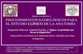 Ii procedimientos radiologicos-clinica-anatomia