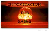 Intox. gases