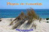 16.  Playas De Canarias