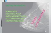 Mamografia Basica