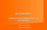 Conceptos basicos-economia