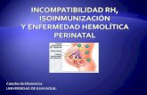 Incompatibilidad rh, isoinmunización