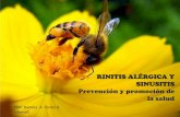Rinitis alérgica y sinusitis. Promoción y prevención.