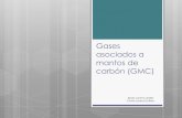 Gas asociado a mantos de carbón(GMC) UTS