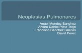 Neoplasias  pulmonares completo