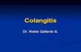 Colangitis Dr. Gallardo