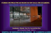 HIDRATACION PARENTERAL CONCEPTOS BASICOS. Prof. Dr. Luis del Rio Diez