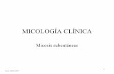 Micologia micosis subcutaneas y sistemicas