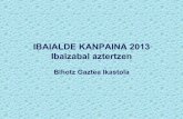 IBAIALDE Bihotz Gaztea DBH-2A