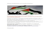 Urgente ¡Solidaridad con el pueblo palestino!