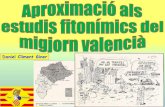 Apunts històrics sobre els estudis fitonímics al migjorn valencià. Daniel Climent