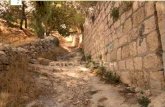 El camino a Getsemani