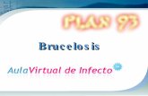Brucelosis 100107150914-phpapp02