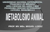 Unidad 1 metabolismo animal